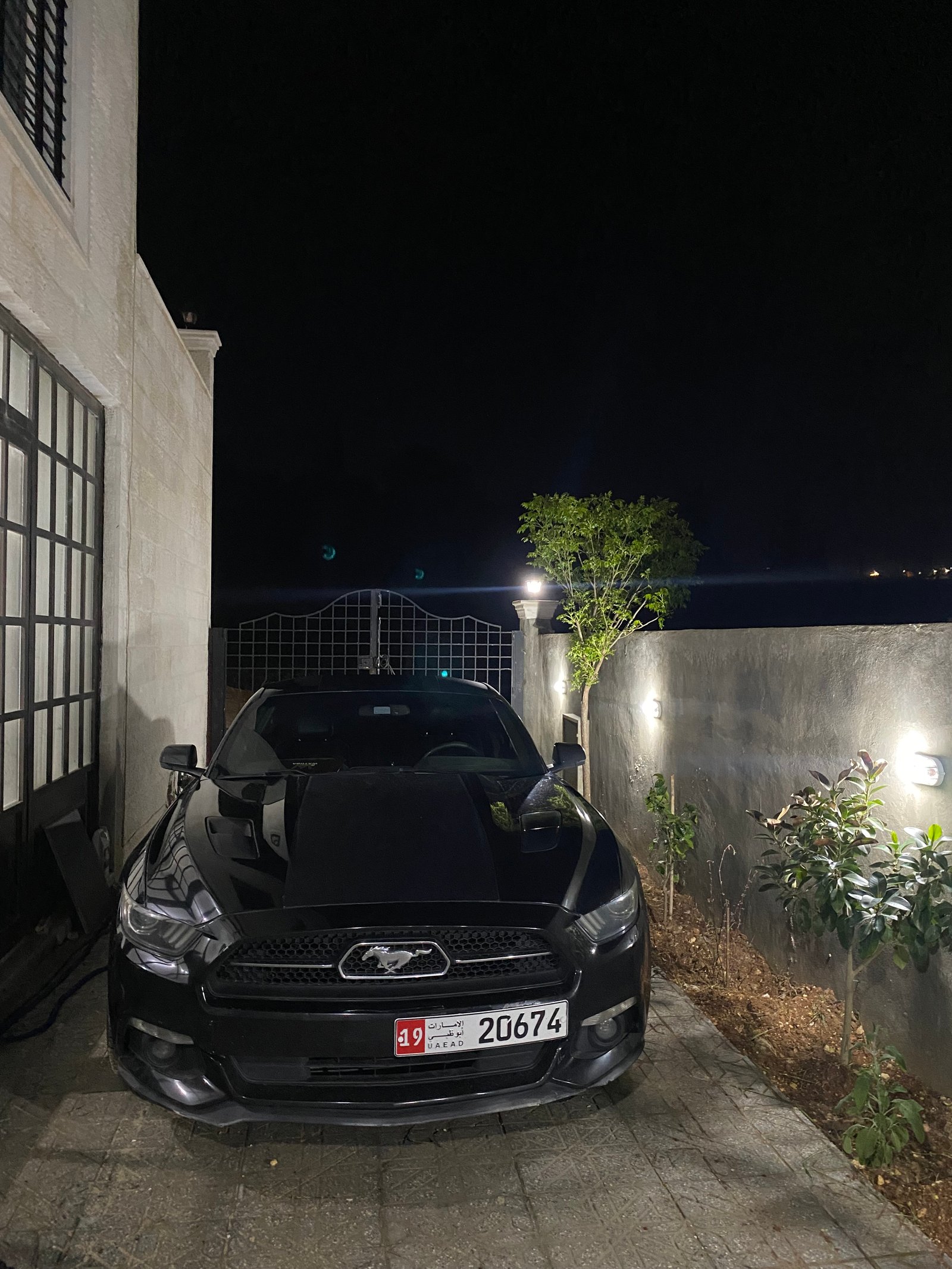 Ford Mustang Ecoboost (2015)