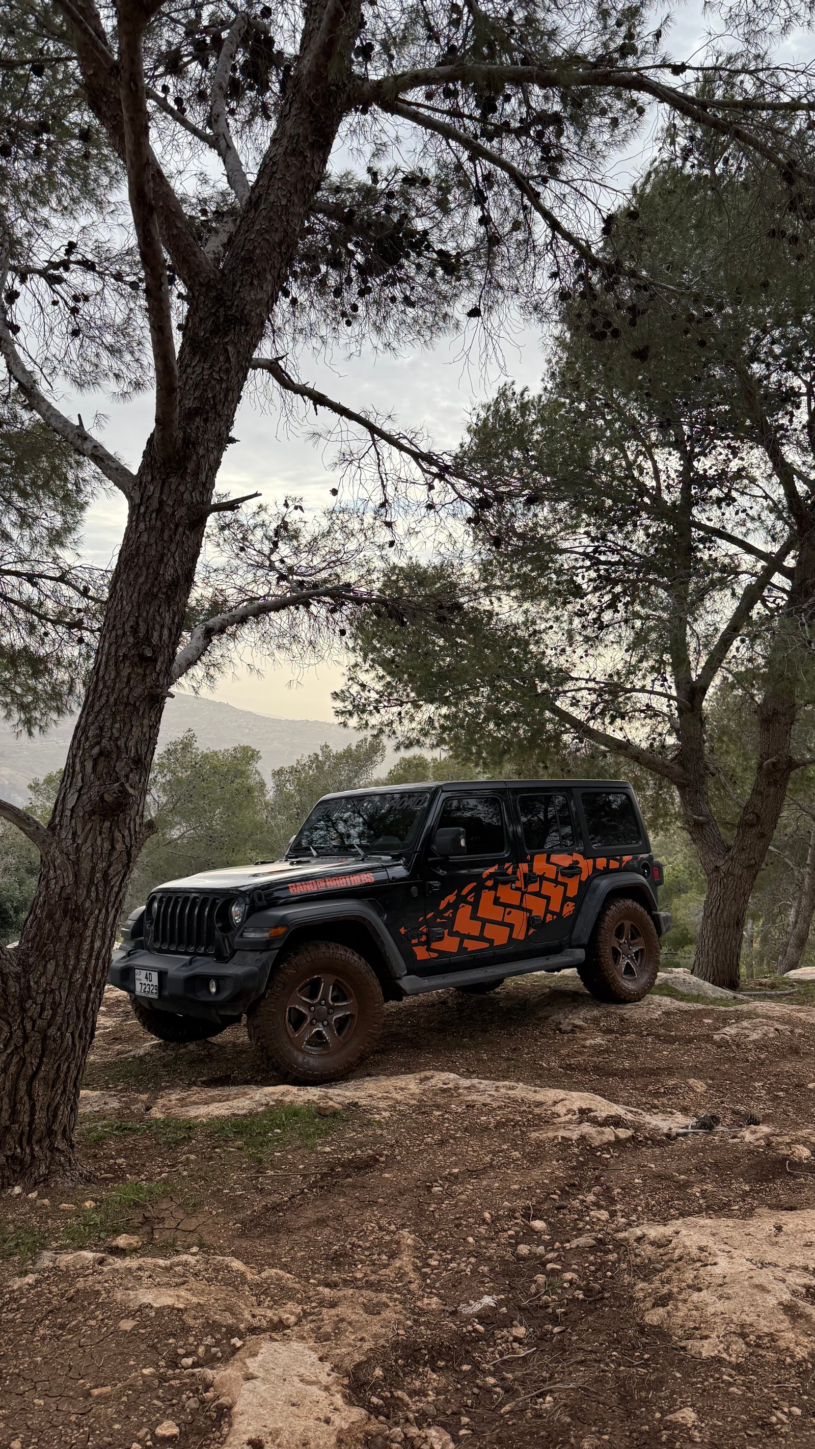 Jeep  Wrangler (2022)