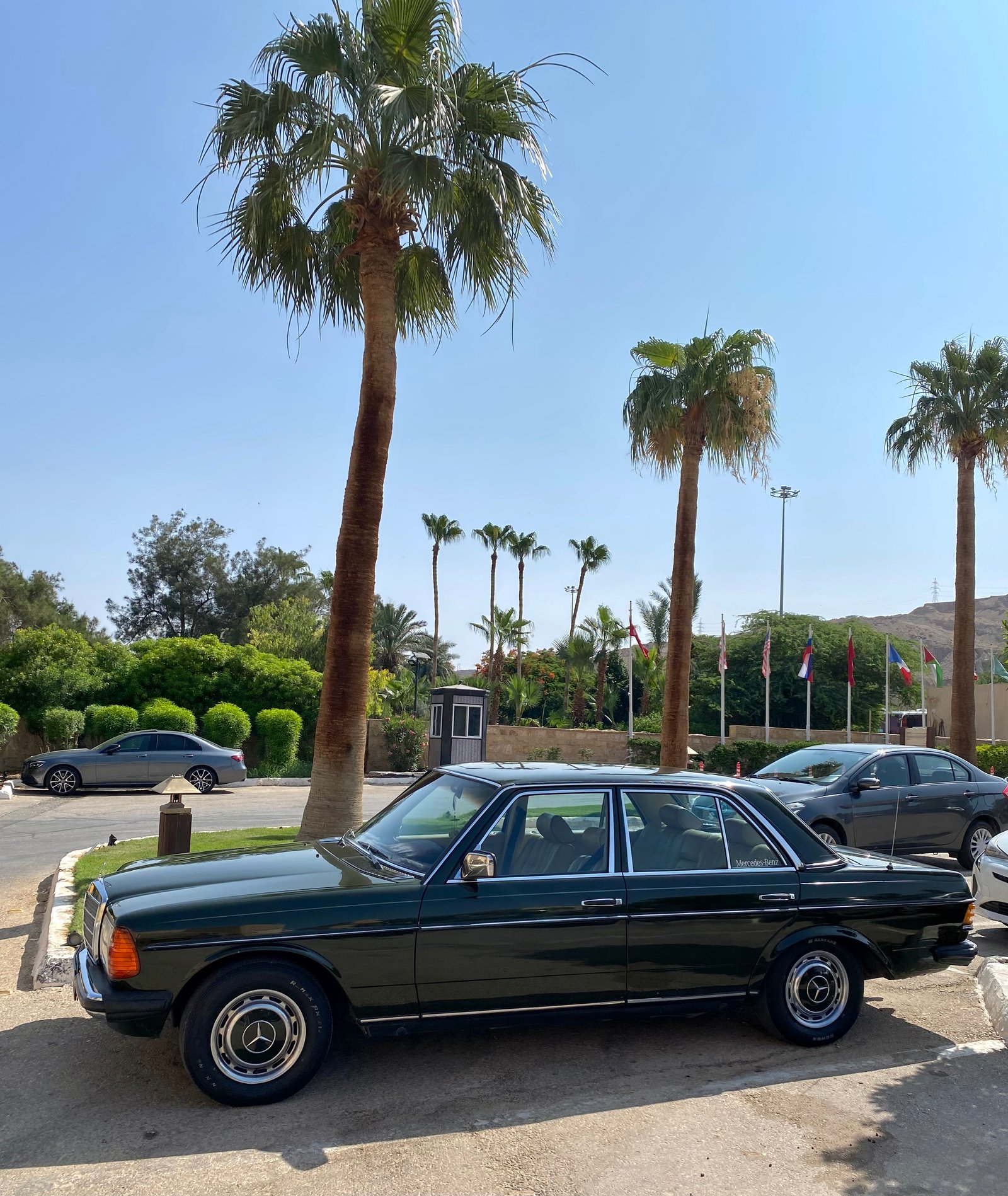 Mercedes W123 (1984)