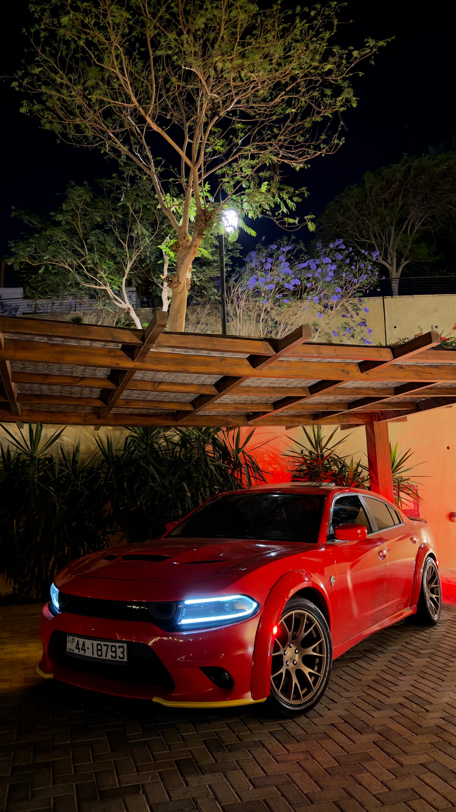 Dodge  charger (2015)